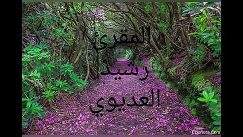 سورة الملك المنجية من عذاب القبر برواية ورش عن نافع