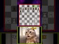 Triple Brilliant Move #chess #chessgame #brilliantmoves