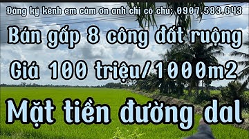Bán gấp 8 công đất ruộng mặt tiền đường dal giá ngộp 100 triệu/1000m2 Giồng riềng kiên Giang