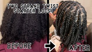Two Strand Starter Locs | Type 3c/4a Hair