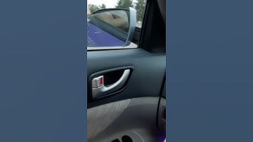 Broken Car Mirror? Fix with Zipties!