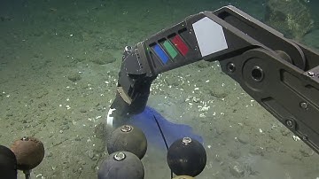Sampling Methane Seeps of the Olympic Coast | Nautilus Live