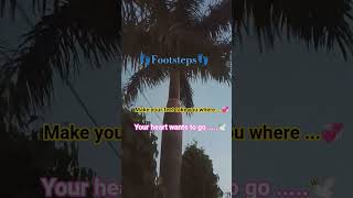 Footsteps 👣💞🕊️ Diside your Next Destination!!!!!!!! #viral #love Song#YTGrow#viralsong #popularsong
