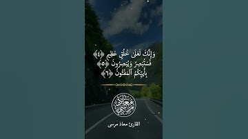 حالات واتس قرآن خاشعة من سورة القلم 🥰✨❤️