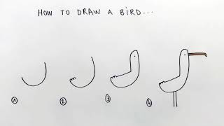 How to draw a bird... by Barroux