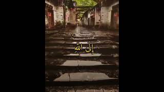 وافوض امري الى الله ان الله بصير بالعباد#القرآن_الكريم