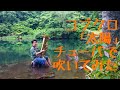 チューバで【コブクロ/太陽】吹いてみた
