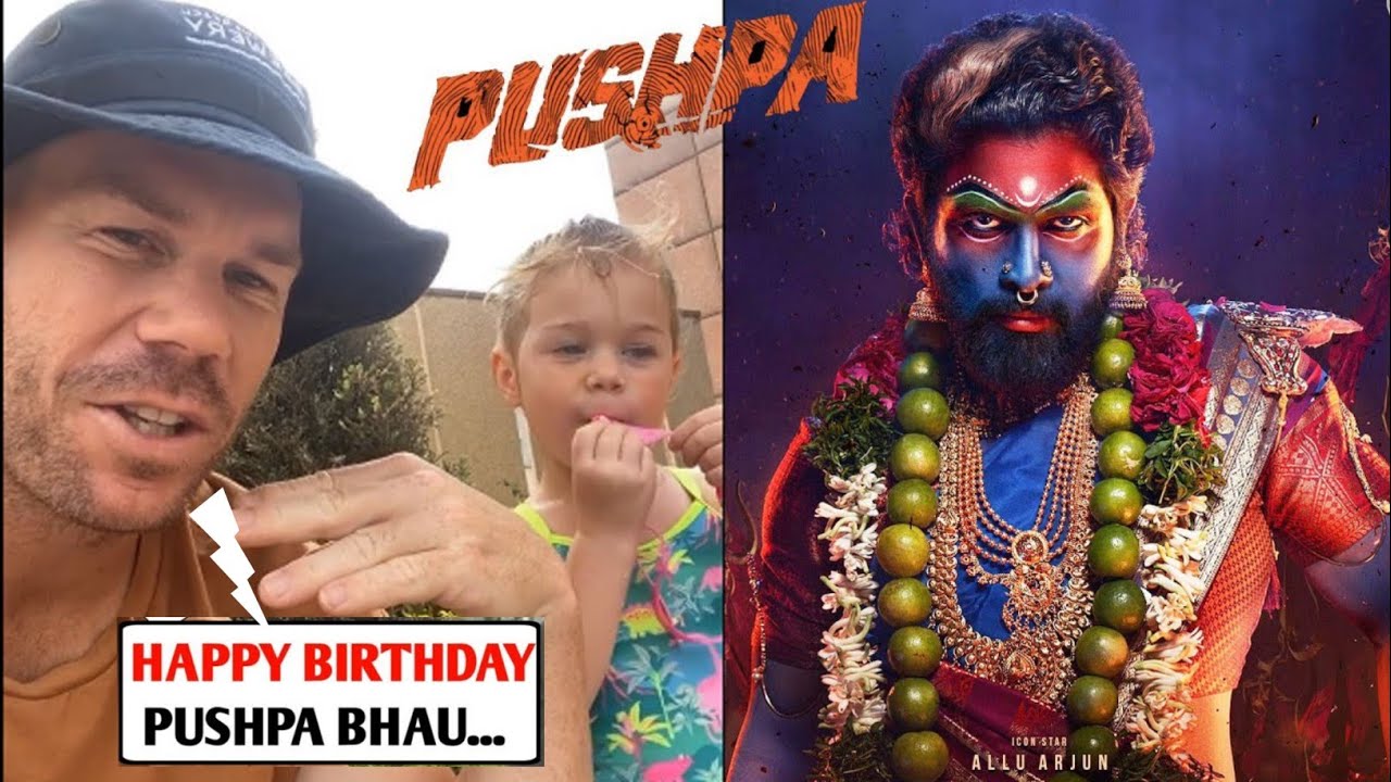 David Warner Congratulations To Allu-Arjun For Birthday || पुष्पा के ...