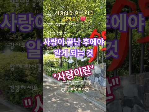 #사랑이란 #바람처럼 #감성발라드 #슬픈노래 #이별노래 #노래추천 #음악추천 #유튜브쇼츠 #감성쇼츠 #힐링음악