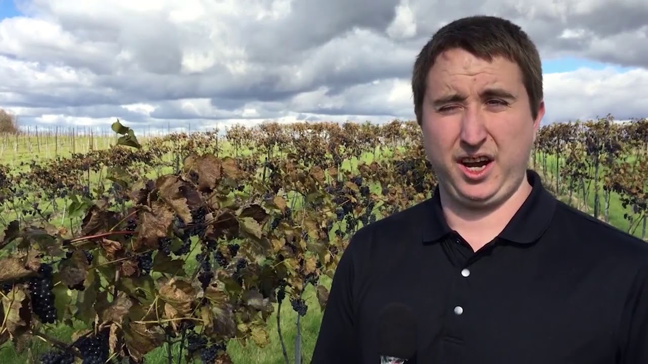 camera iphone 8 plus apk Huron Breweries