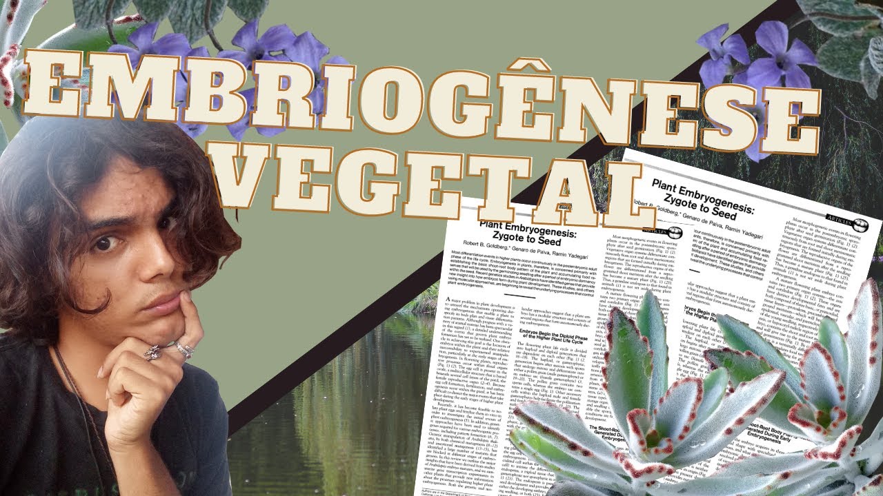 EMBRIOGÊNESE VEGETAL (o assunto é legal, eu juro!)