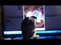 Cute cat attacking pc-mouse