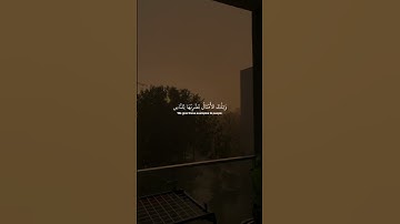 وتلك الأمثال نضربها للناس || تلاوة القارئ: عبدالرحمن مسعد #قران_كريم