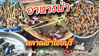 อาหารป่าจากตลาดสดไซยะบุรี #ตลาดลาว#เลาะตลาด #วิถีชีวิตชนบท