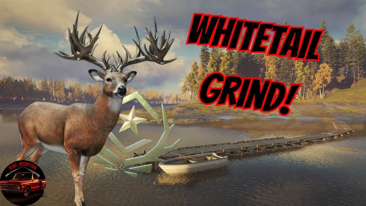Almost 2,150 kills in! He needs to spawn! White Tail Live |The Hunter Call of the Wild