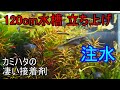【水槽298】カミハタの接着剤、注水【120cm水槽立ち上げ3】