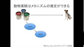 動物実験と疫学研究