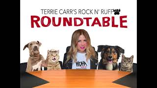 WDHA's RNR Roundtable with Dr.  Fiorenza