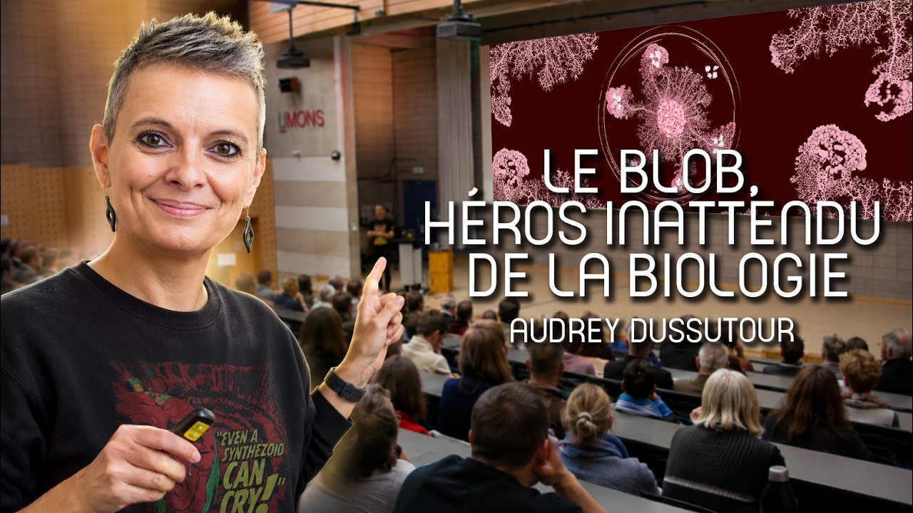 Le Blob est-il intelligent ?