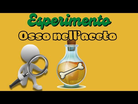 Video: 4 modi per cucinare il pollo saltato in padella