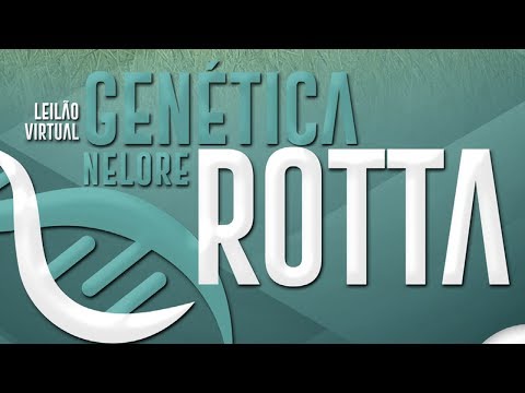 Lote 02 (Gustao Rotta - ROTY 525)