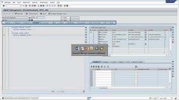 SAP ABAP Debugging - Getting familiar to the new debugger - Full course at US$ 10. Contact me!