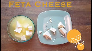 How to make Feta Cheese at home? Super Easy & Healthy (Inspired by Iranian Cuisine) screenshot 2