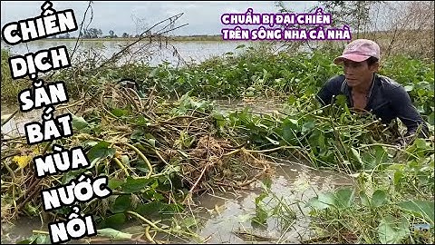 Chiến Dịch Săn Bắt Mới Trong "Mùa Nước Nổi" • Săn Bắt Miền Tây  | Bông Lúa Đồng Tháp
