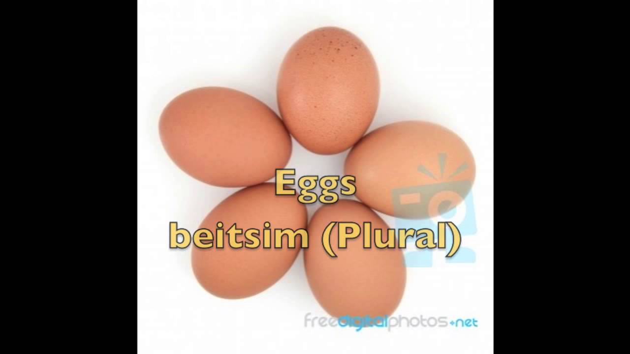 How to Say Eggs in Hebrew YouTube