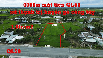 Đã bán : 4000m đất lúa mặt tiền QL50 tại xã thạnh trị gò công tây TG giá tốt chưa từng có