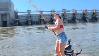 Summer Catfishing for MONSTERS Beneath a Raging River Dam! (Flatheads, Blue Cats, Channels & MORE!!)