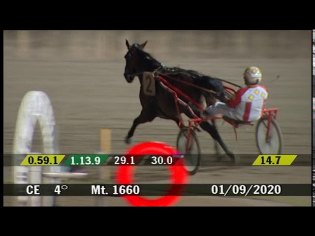 2020 09 01 | Corsa 4 | Metri 1660 | Premio Pianeta Bianconero