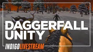 Daggerfall Unity Livestream #3 | Khajiit Like to Sneak Profile