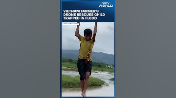 Vietnam Farmer