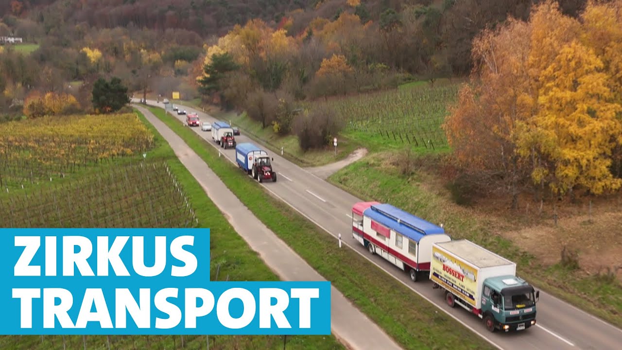 Weihnachtszirkus unterwegs: Mit 25 km/h durch die Pfalz