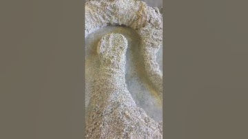 Oxbow Lake Formation Time Lapse