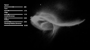 Flocking behaviour - Compute shader (Unity)