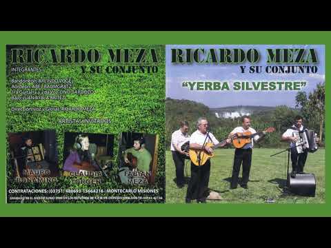 04  Ricardo