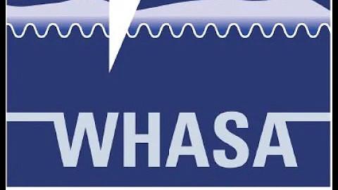 WHASA 21 JULY 21 Antimicrobial Stewardship within ...