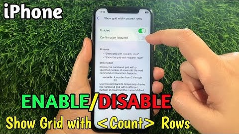How to enable/disable show grid with count rows in overlays voice control on iPhone X