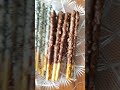 Korean Snack Lotte PEPERO Flavors Almond vs White Cookie #shorts