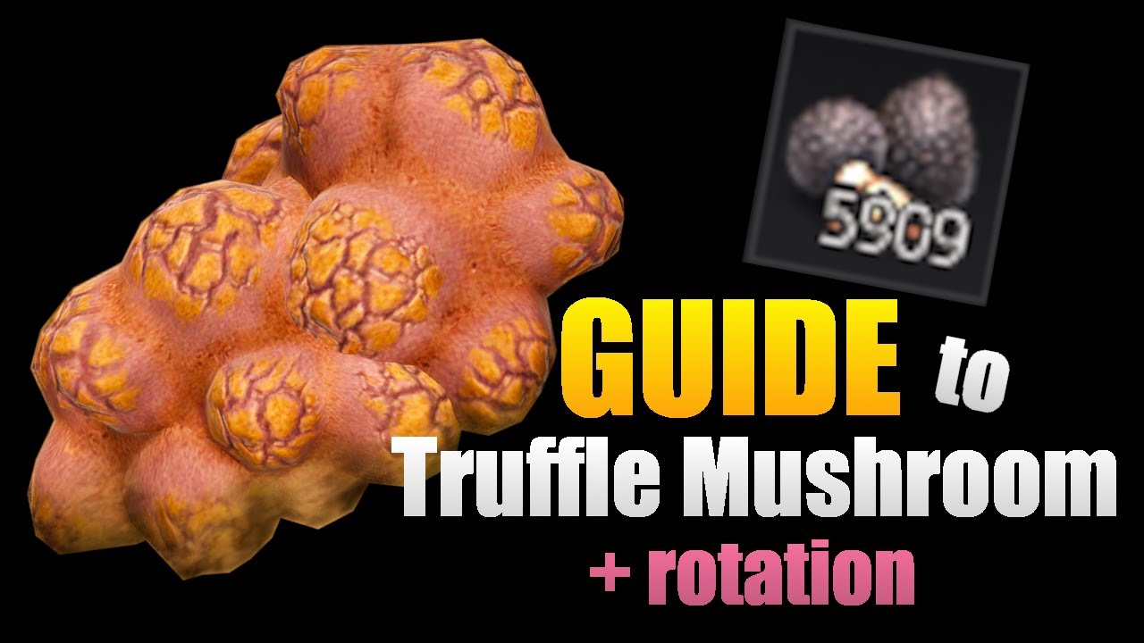 Black Desert Truffle mushroom guide Showing full Serendia and