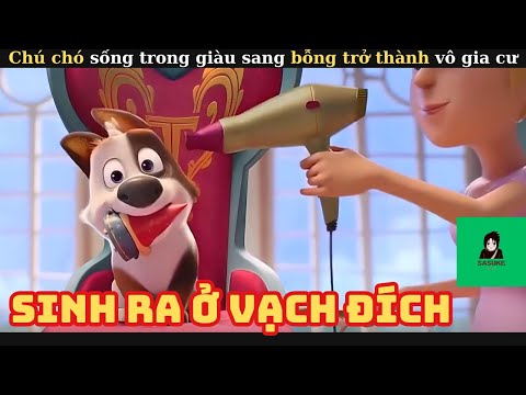 Video: Nhận nuôi một trong những chú chó xấu xí này trong ngày chó xấu nhất!