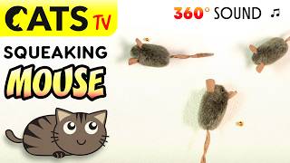 CATS TV 📺 Crazy Mouse 🐭 Toy 🎵😻 Game for cats 🔊 3D Sound