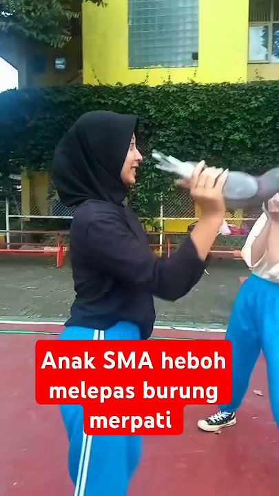 Anak SMA heboh melepas burung #merpati #merpatiku #merpatikolong #burung #siswa #sma #smk #sd #guru