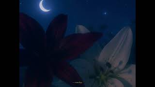 songs that make me want to speak french — Écoute Chérie inspired playlist
