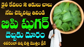 BP ?? |  డైలీ 2 ఆకులు ఇలా నేరుగా తీసుకోండి దెబ్బకు షుగర్ బిపి దూరం | Dr Manthena Satyanarayana Raju