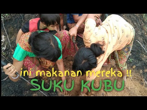 Video: Cara Menakluki Kubu