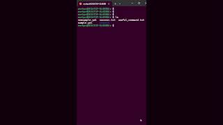 Day 8 | cat Linux Command #linux #linuxcommandline #linuxforbeginners #coding #shell #shorts