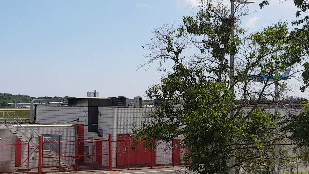 KLM Embraer E175 PH-EXG landing with KL959 From Amsterdam Schiphol